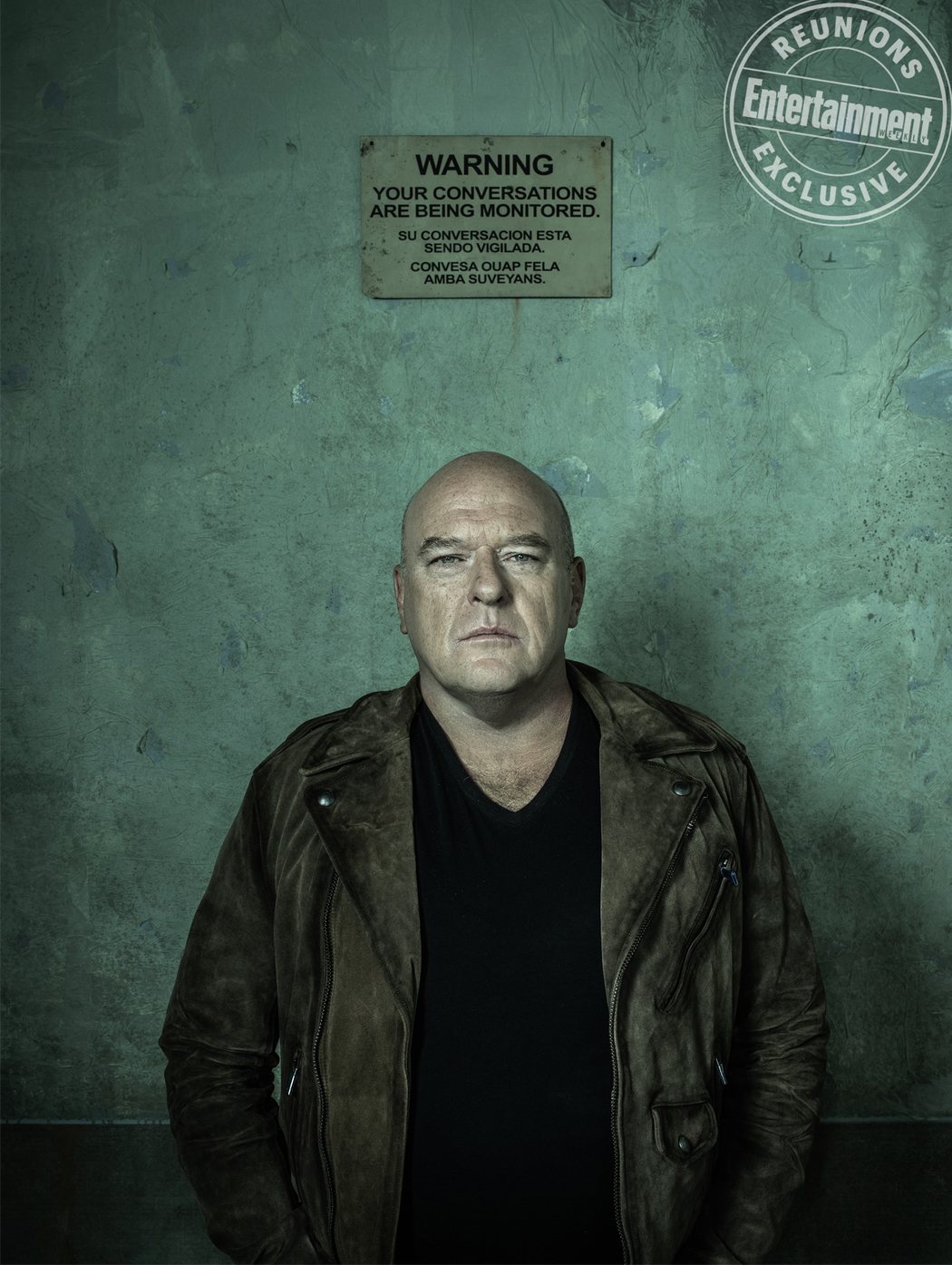 Dean Norris (Hank Schrader)