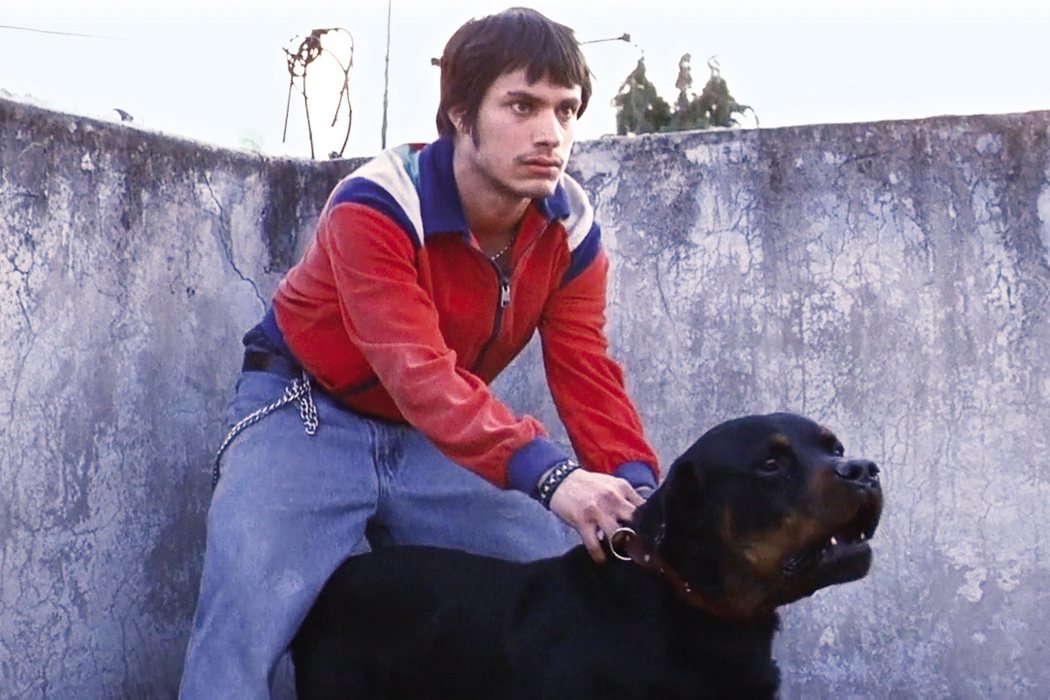 'Amores perros' (2000)