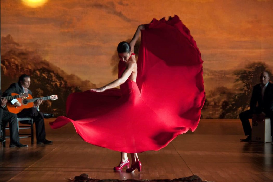 'Flamenco, flamenco' (2010)