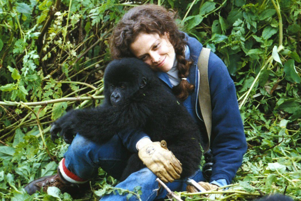 Conciencia medioambiental