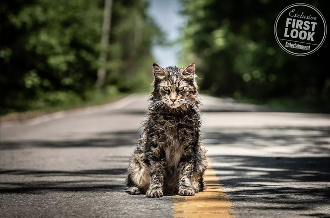 Terrorífico gato