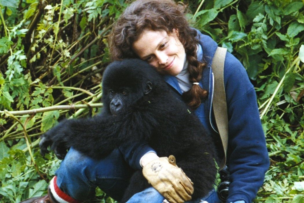 Diane Fossey en 'Gorilas en la niebla' (1988)