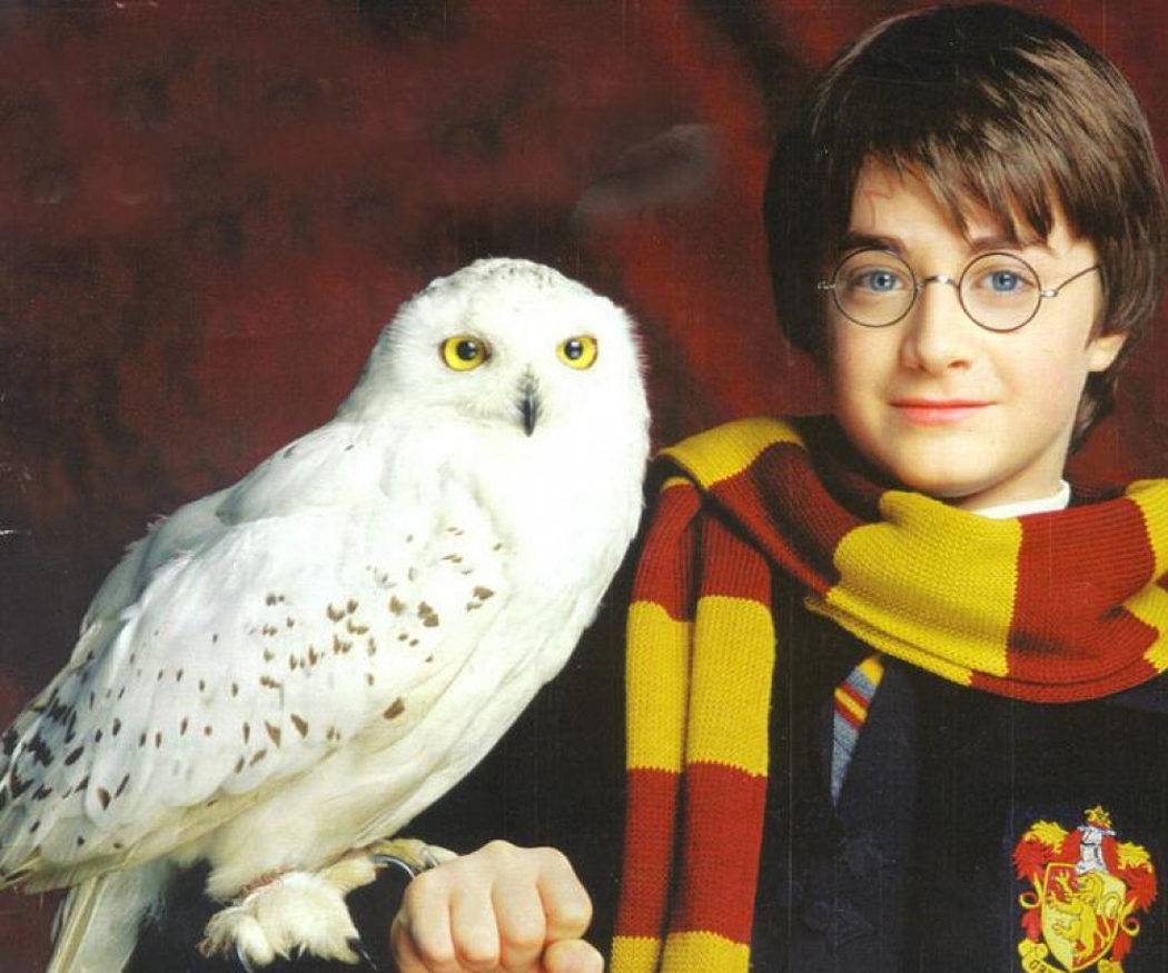 Hedwig de 'Harry Potter'