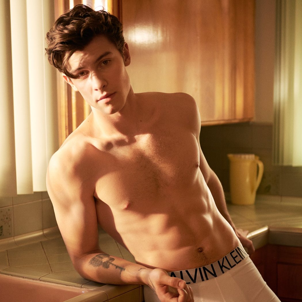 Shawn Mendes #MyCalvins