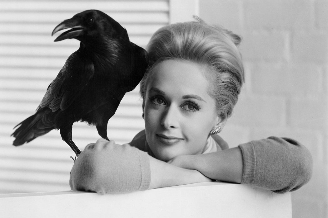 El debut de Hedren