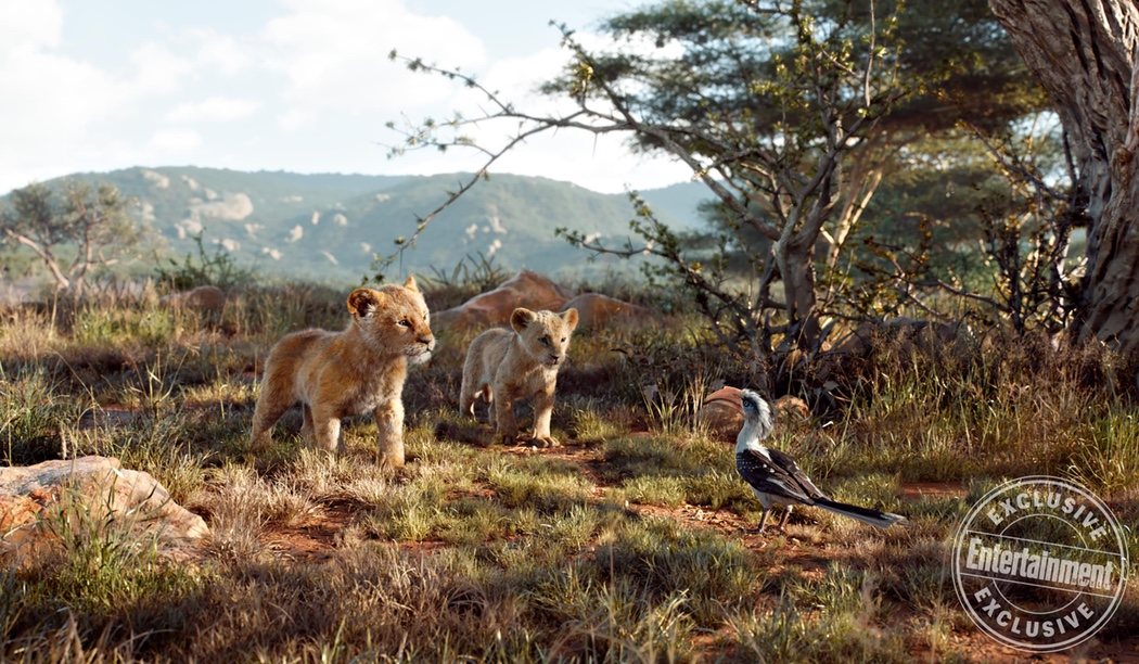 Simba, Nala y Zazú