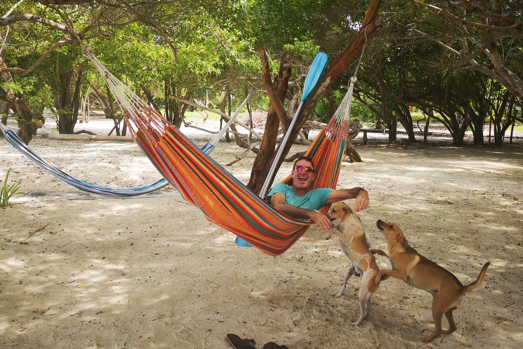 Un guion viajero y canino