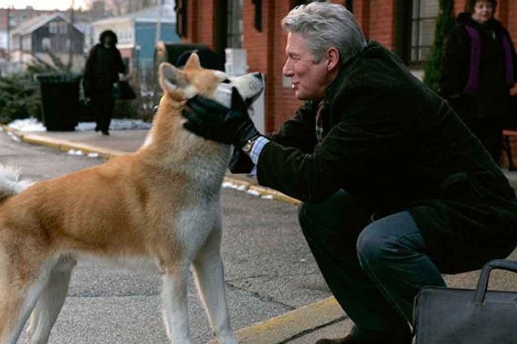 'Siempre a tu lado. Hachiko'