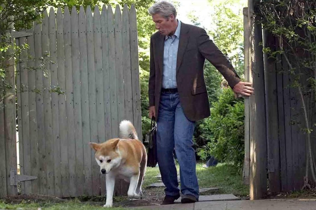 'Siempre a tu lado. Hachiko'