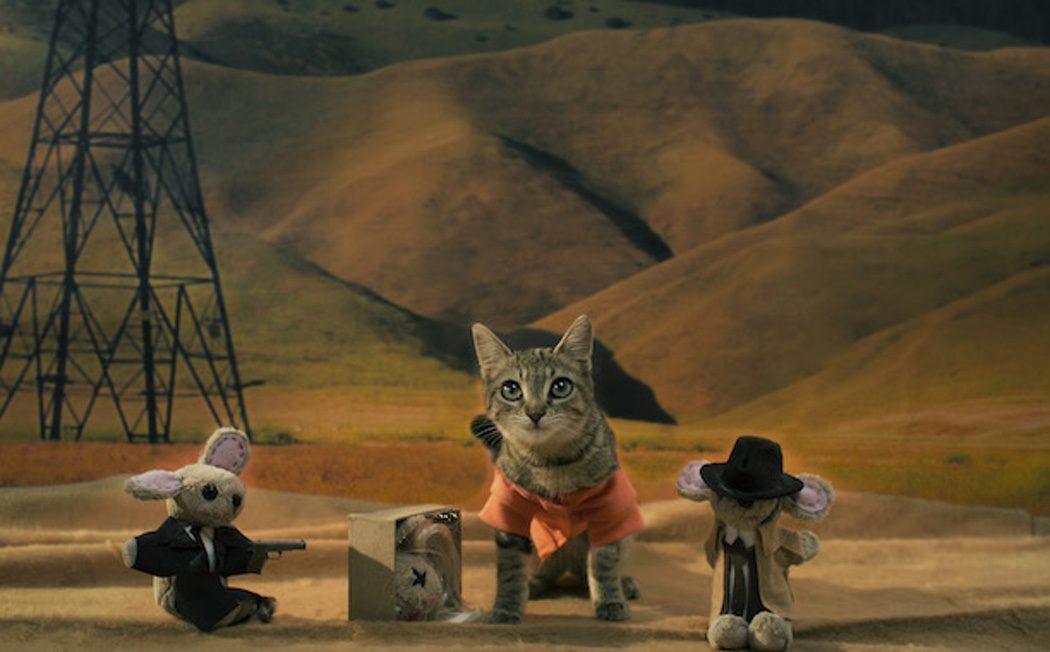 El gato 'Keanu' parodia 12 conocidas películas en un adorable