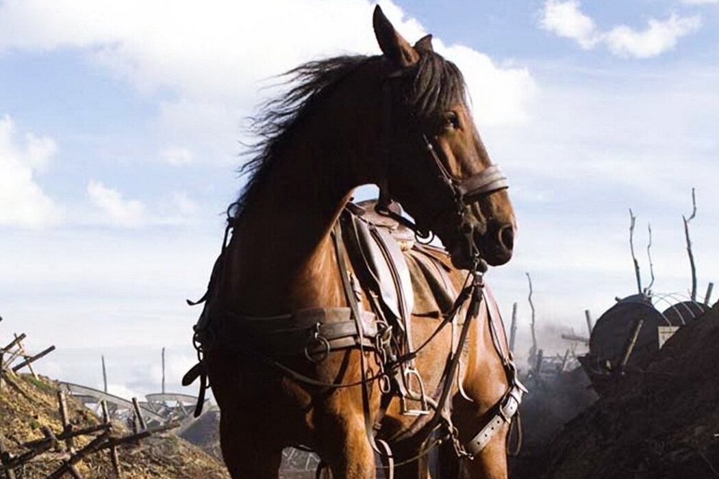 'War Horse (Caballo de batalla)'