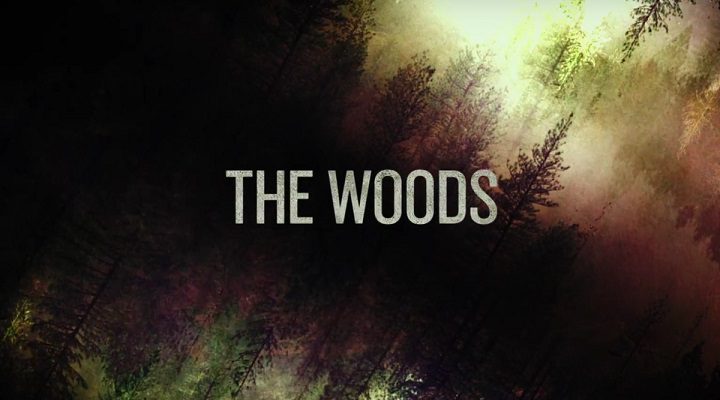 'The Woods'