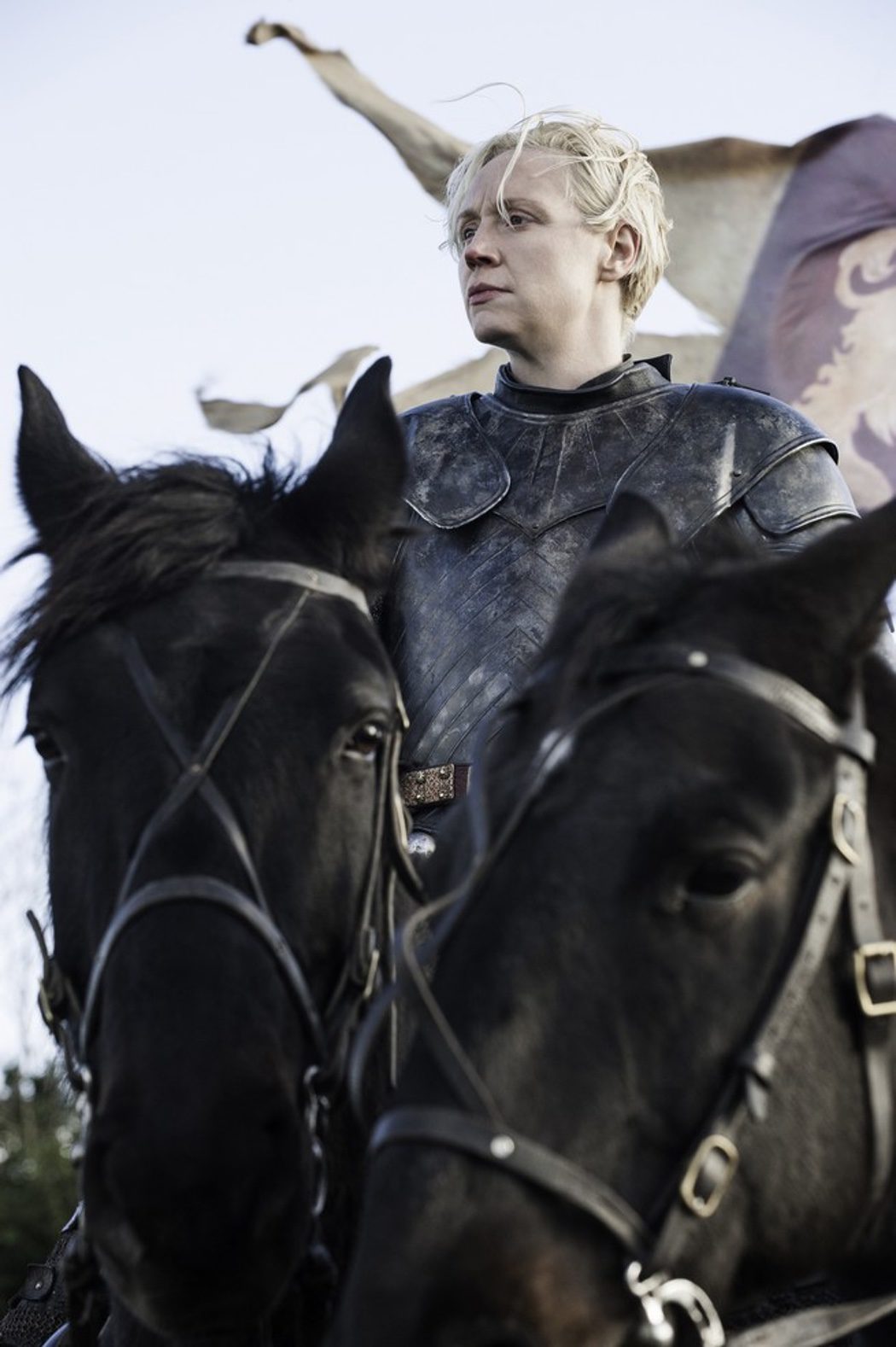 Brienne preparada para partir hacia Aguasdulces