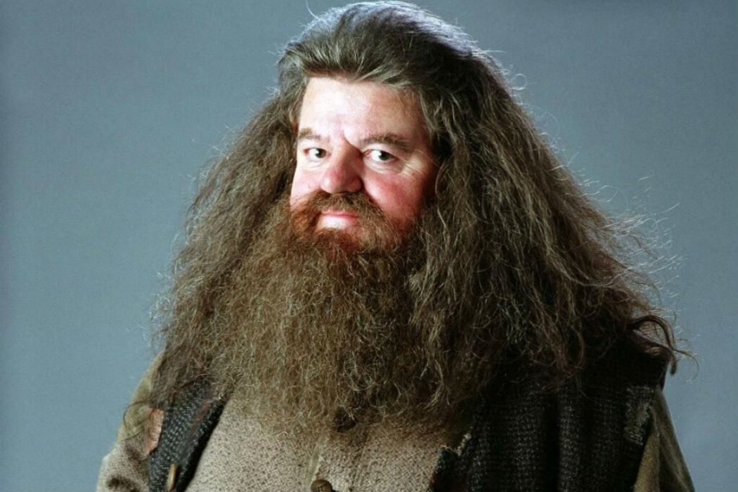 Hagrid ('Harry Potter')