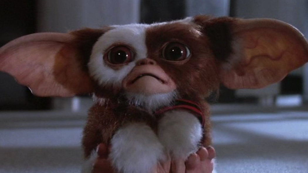 'Gremlins': amigos de toda la vida