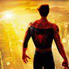 movies3235
