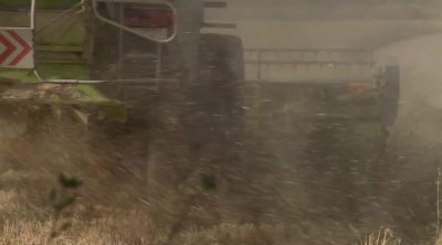 Tráiler 'Desde que el mundo es mundo'