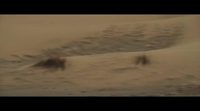 Tráiler 'La reina del desierto' #2