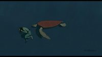 Tráiler español 'La tortuga roja' #2