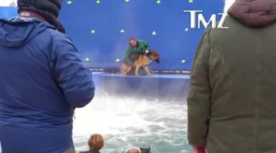 Un perro sufre en el rodaje de 'A Dog's Purpose'