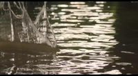 Tráiler 'Goodbye Christopher Robin'