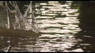 Tráiler 'Goodbye Christopher Robin'