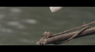 Tráiler oficial 'Tawai: A voice from the forest'