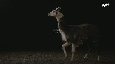 Teaser 'La peste'