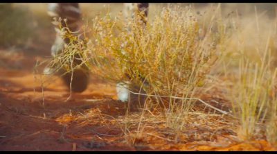 Tráiler 'Earth: One Amazing Day'