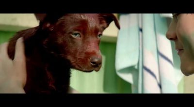 Trailer español 'Siempre estarás a mi lado'