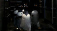 Tráiler definitivo en español de 'Los pingüinos del Sr. Poper'