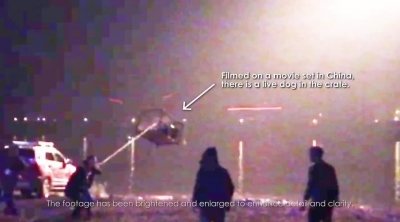 Maltrato animal en rodaje de 'Crazy Alien'
