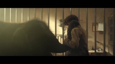 Tráiler 'Zoo'