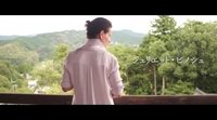 Teaser tráiler 'Vision'