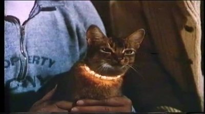 Tráiler español 'El gato que vino del espacio'