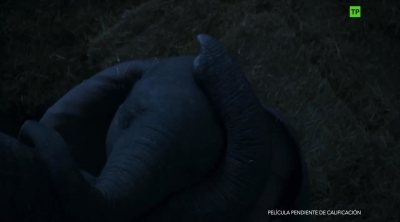Tráiler subtitulado en español 'Dumbo'