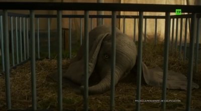 Tráiler español 'Dumbo' #3