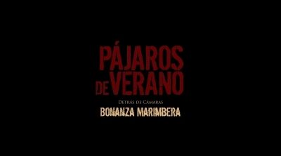 Clip #6 'Pájaros de verano'