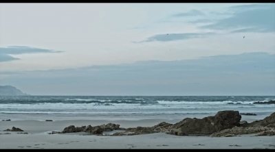 Tráiler 'Entre la ola y la roca'