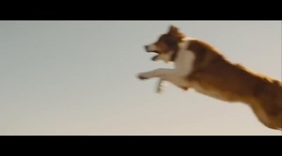 Tráiler 'A Dog's Journey'
