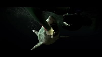 Tráiler 'A 47 metros 2: El terror emerge'