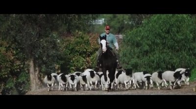 Tráiler 'The Biggest Little Farm'