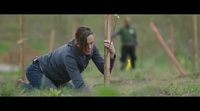 Tráiler español 'Mi gran pequeña granja'