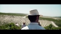 Tráiler 'El verano que vivimos'