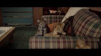 Tráiler inglés 'El lobo y el león'