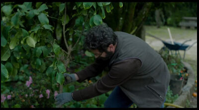 Tráiler oficial web de 'Una quinta portuguesa'