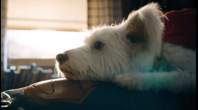Spot Krypto 'Superman'