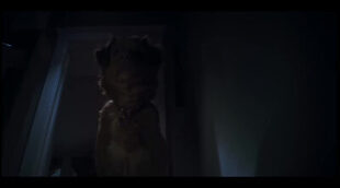Tráiler en VO de 'Good Boy'