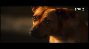 Tráiler 'Caramelo' de Netflix