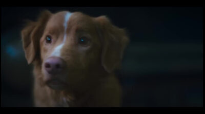 Tráiler español 'Good boy'